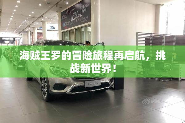 海贼王罗的冒险旅程再启航，挑战新世界！