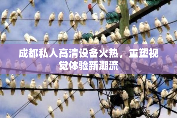 成都私人高清设备火热，重塑视觉体验新潮流