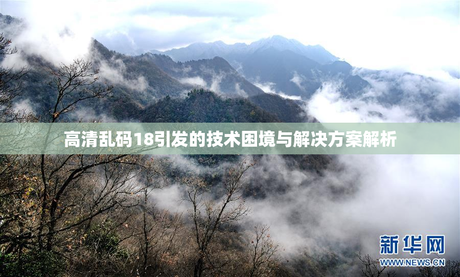 高清乱码18引发的技术困境与解决方案解析