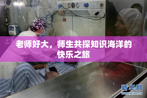 老师好大，师生共探知识海洋的快乐之旅