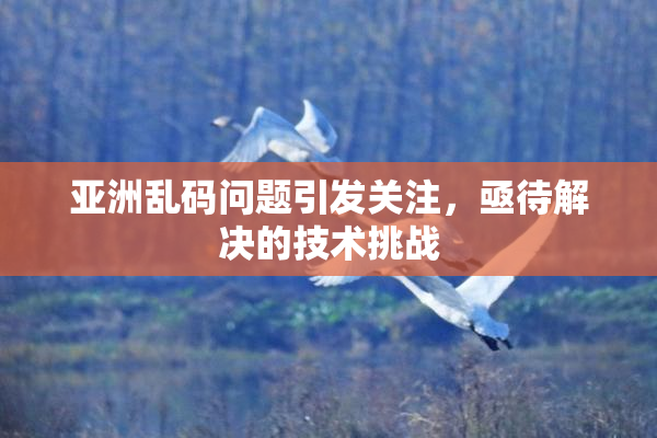 亚洲乱码问题引发关注，亟待解决的技术挑战