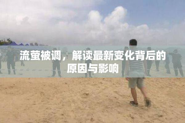 流萤被调，解读最新变化背后的原因与影响