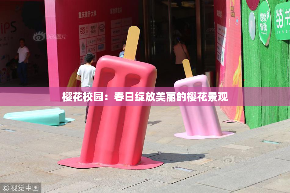 樱花校园：春日绽放美丽的樱花景观