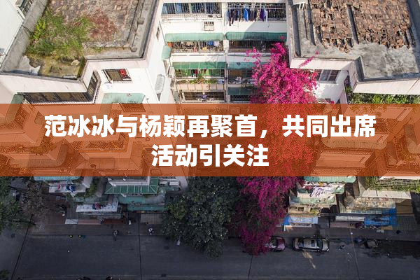 范冰冰与杨颖再聚首，共同出席活动引关注