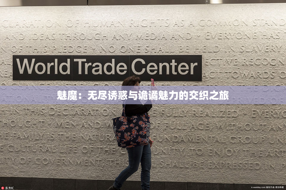 魅魔：无尽诱惑与诡谲魅力的交织之旅