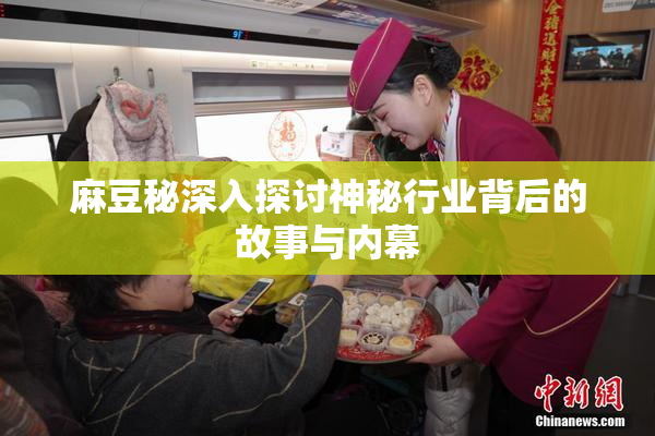 麻豆秘深入探讨神秘行业背后的故事与内幕