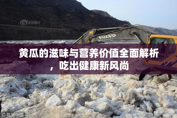 黄瓜的滋味与营养价值全面解析，吃出健康新风尚