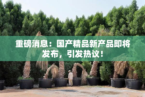 重磅消息：国产精品新产品即将发布，引发热议！