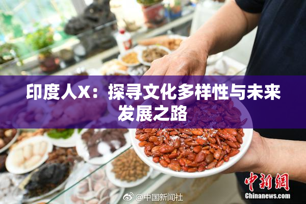 印度人X：探寻文化多样性与未来发展之路