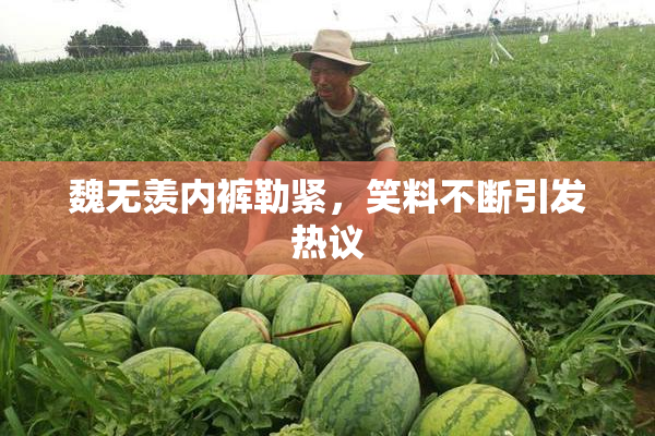 魏无羡内裤勒紧，笑料不断引发热议