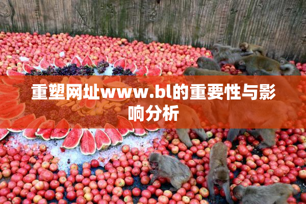 重塑网址www.bl的重要性与影响分析