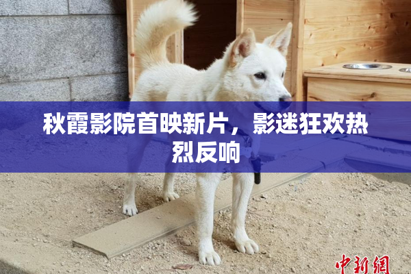 秋霞影院首映新片，影迷狂欢热烈反响
