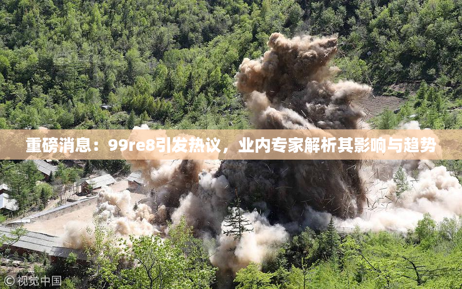 重磅消息：99re8引发热议，业内专家解析其影响与趋势