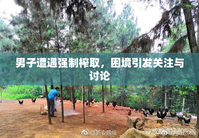 男子遭遇强制榨取，困境引发关注与讨论