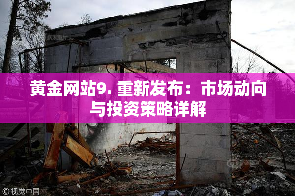 黄金网站9. 重新发布：市场动向与投资策略详解