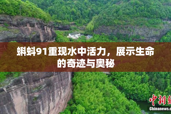 蝌蚪91重现水中活力，展示生命的奇迹与奥秘