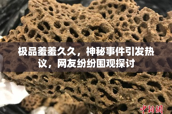 极品羞羞久久，神秘事件引发热议，网友纷纷围观探讨