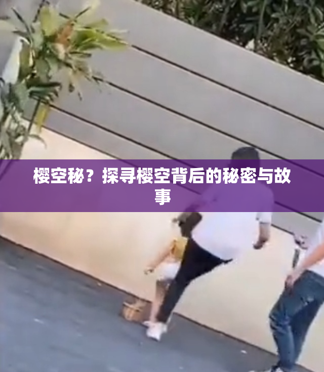 樱空秘？探寻樱空背后的秘密与故事