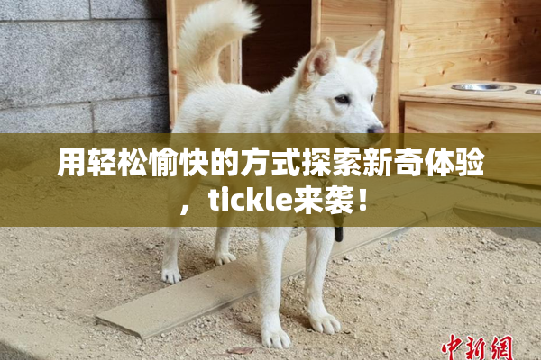 用轻松愉快的方式探索新奇体验，tickle来袭！