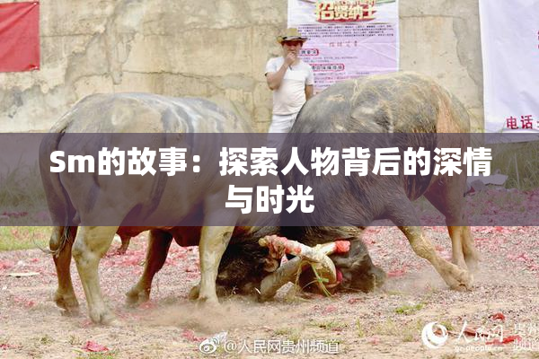 Sm的故事：探索人物背后的深情与时光
