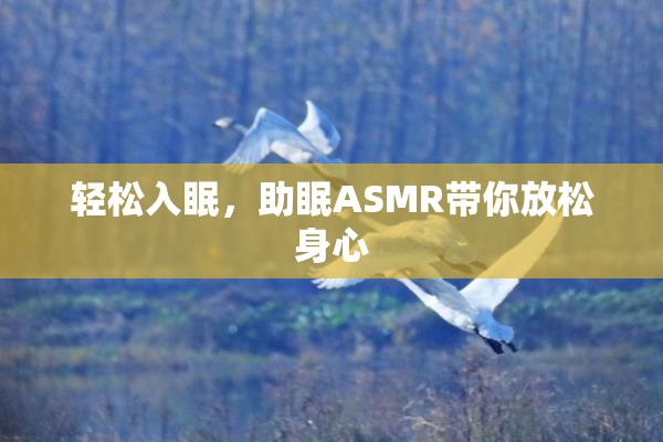 轻松入眠，助眠ASMR带你放松身心