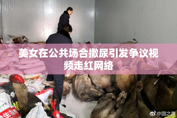 美女在公共场合撒尿引发争议视频走红网络
