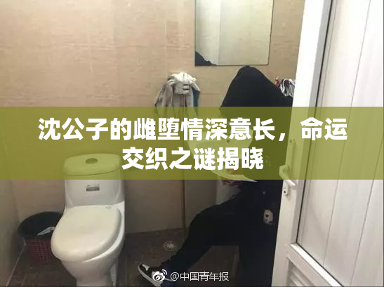 沈公子的雌堕情深意长，命运交织之谜揭晓