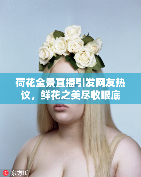 荷花全景直播引发网友热议，鲜花之美尽收眼底