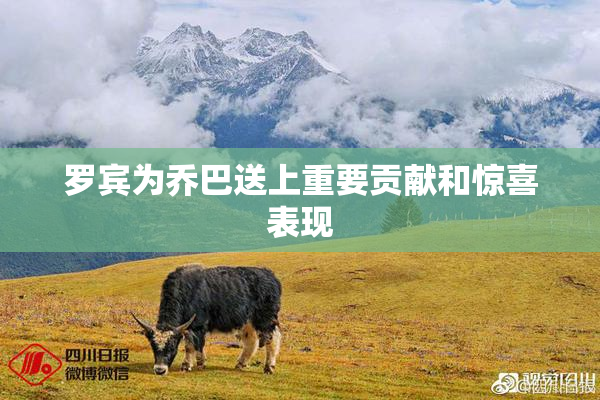 罗宾为乔巴送上重要贡献和惊喜表现