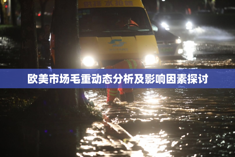 欧美市场毛重动态分析及影响因素探讨