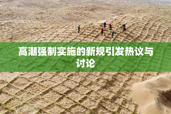 高潮强制实施的新规引发热议与讨论