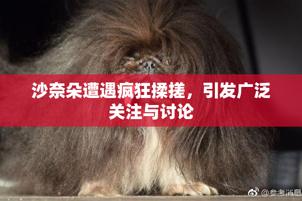 沙奈朵遭遇疯狂揉搓，引发广泛关注与讨论