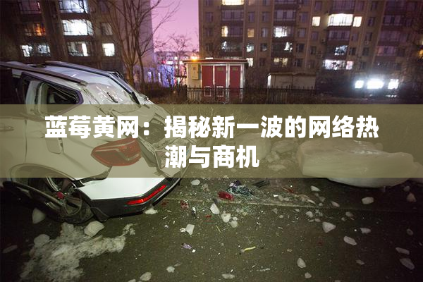 蓝莓黄网：揭秘新一波的网络热潮与商机