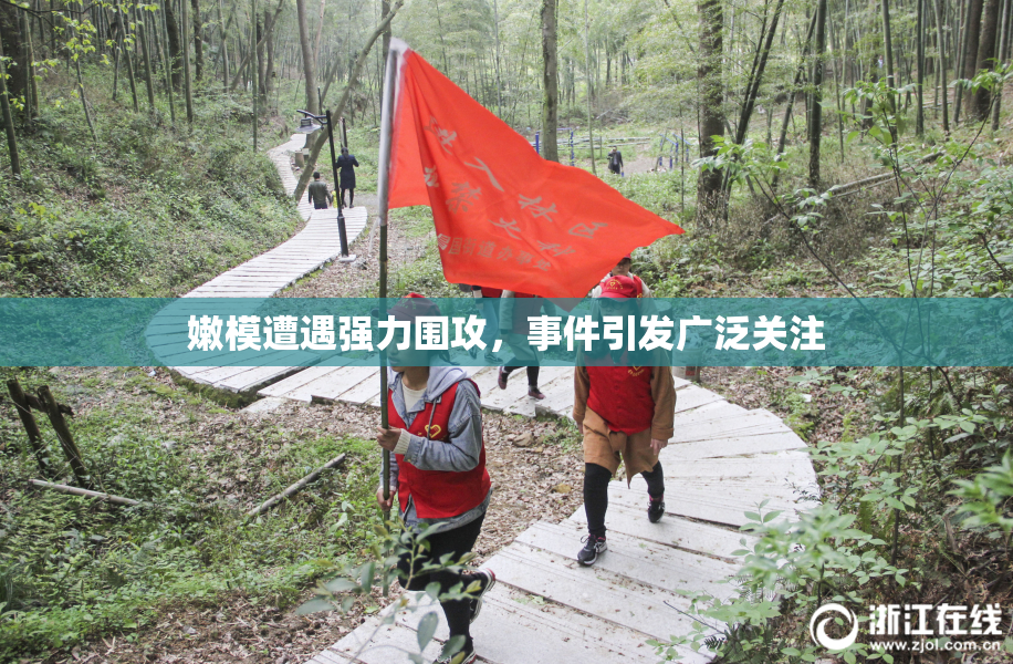 嫩模遭遇强力围攻，事件引发广泛关注