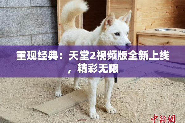 重现经典：天堂2视频版全新上线，精彩无限