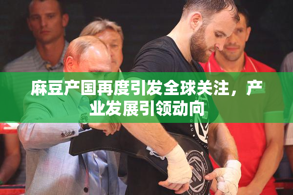 麻豆产国再度引发全球关注，产业发展引领动向