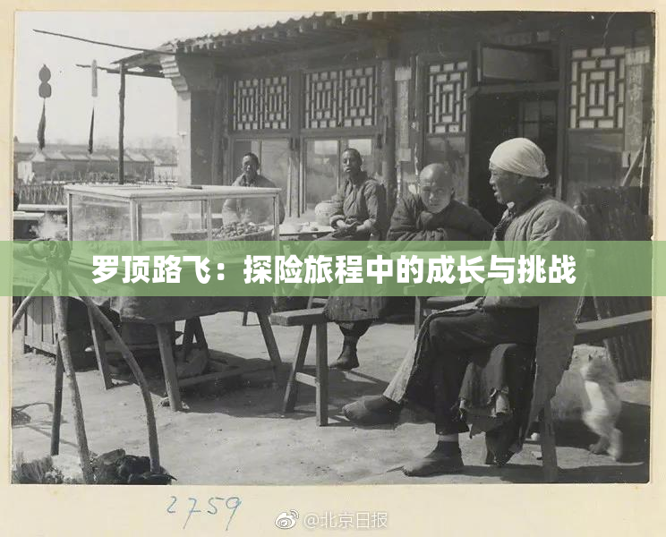 罗顶路飞：探险旅程中的成长与挑战