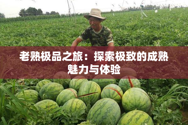 老熟极品之旅：探索极致的成熟魅力与体验