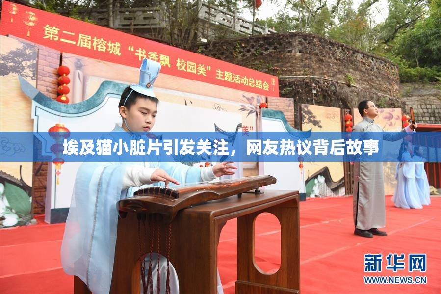 埃及猫小脏片引发关注，网友热议背后故事