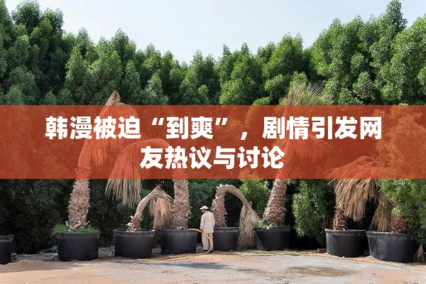 韩漫被迫“到爽”，剧情引发网友热议与讨论