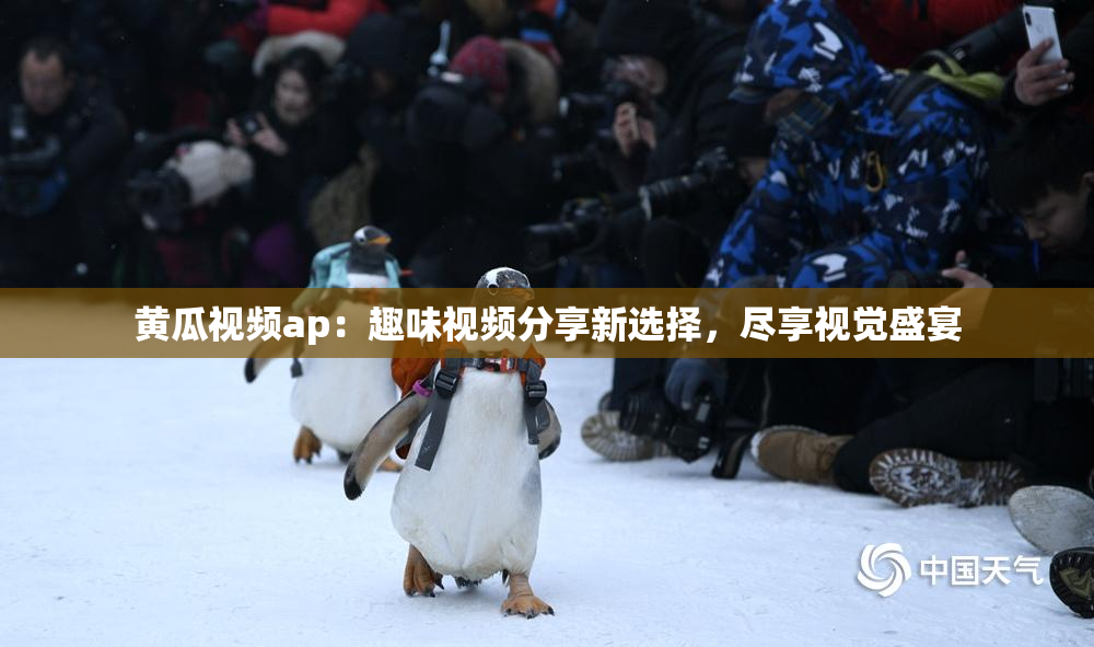 黄瓜视频ap：趣味视频分享新选择，尽享视觉盛宴