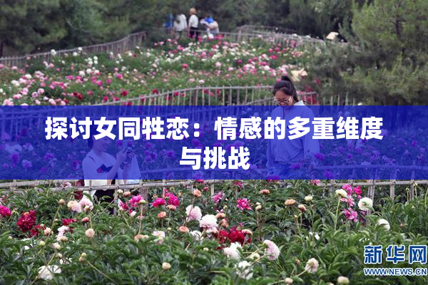 探讨女同牲恋：情感的多重维度与挑战