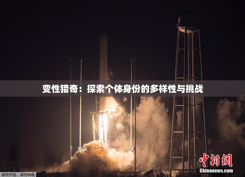 变性猎奇：探索个体身份的多样性与挑战