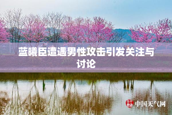 蓝曦臣遭遇男性攻击引发关注与讨论
