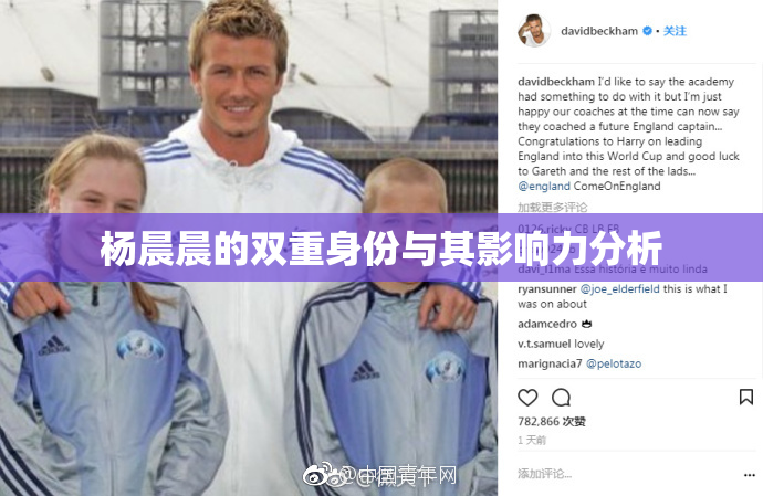 杨晨晨的双重身份与其影响力分析