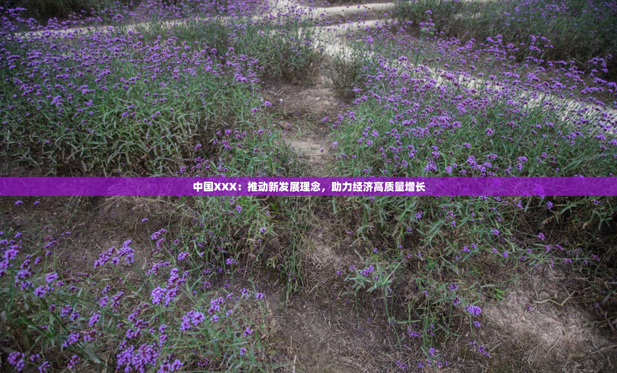 中国XXX：推动新发展理念，助力经济高质量增长