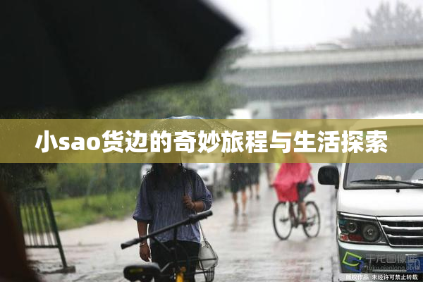 小sao货边的奇妙旅程与生活探索