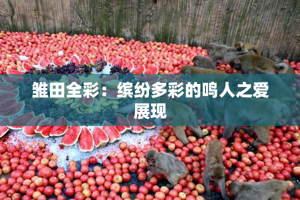 雏田全彩：缤纷多彩的鸣人之爱展现