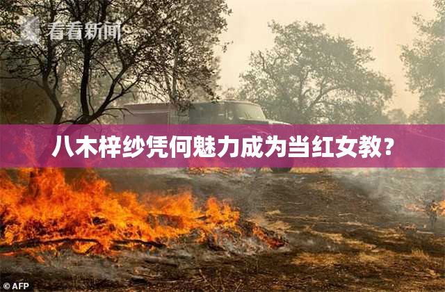 八木梓纱凭何魅力成为当红女教？