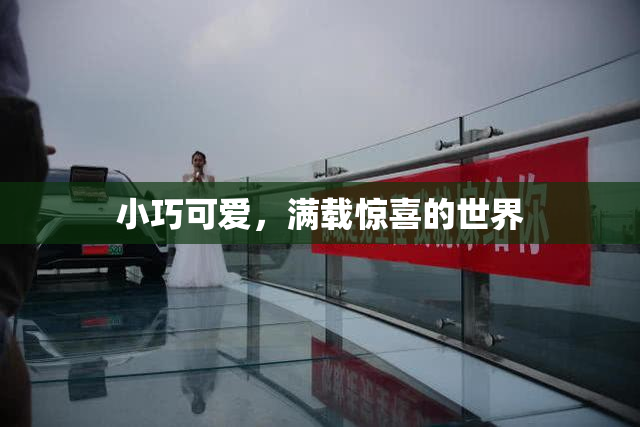 小巧可爱，满载惊喜的世界